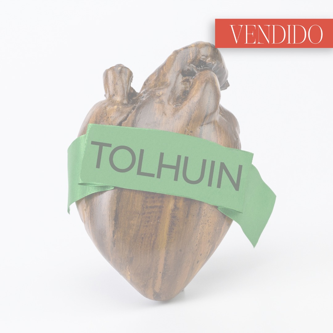 “Tolhuin”